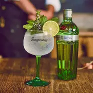 Tanqueray no.Ten